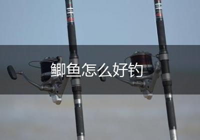 鲫鱼怎么好钓