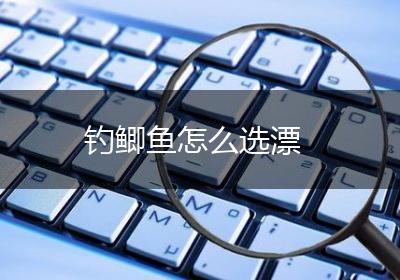 钓鲫鱼怎么选漂