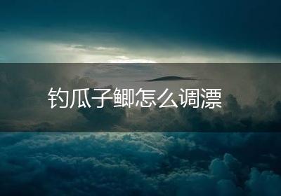 钓瓜子鲫怎么调漂