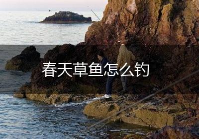 春天草鱼怎么钓