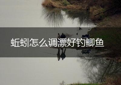 蚯蚓怎么调漂好钓鲫鱼
