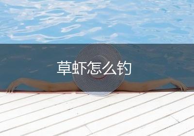草虾怎么钓