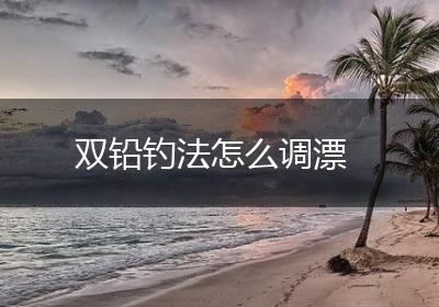 双铅钓法怎么调漂
