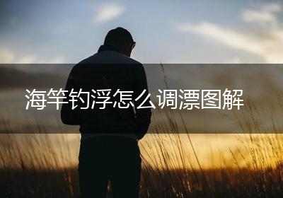 海竿钓浮怎么调漂图解
