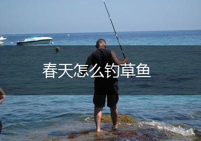 春天怎么钓草鱼
