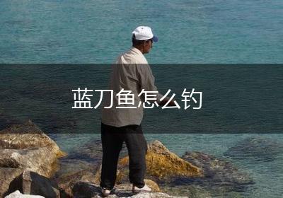 蓝刀鱼怎么钓