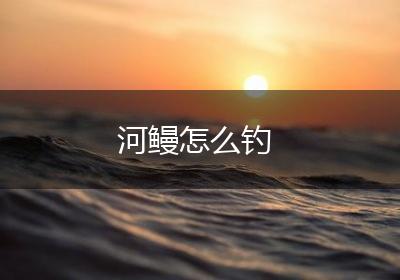 河鳗怎么钓