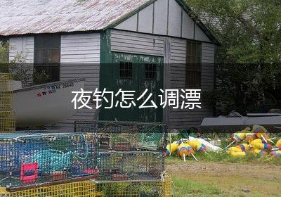 夜钓怎么调漂