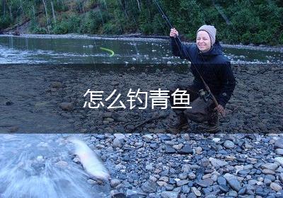 怎么钓青鱼