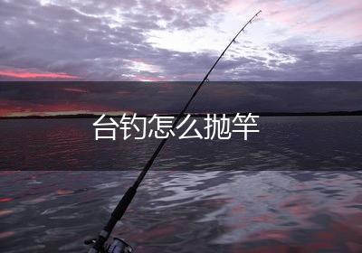 台钓怎么抛竿