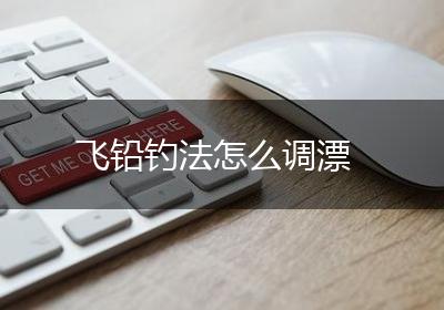 飞铅钓法怎么调漂