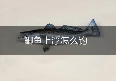 鲫鱼上浮怎么钓