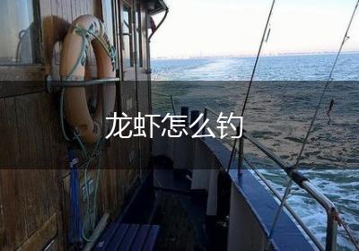 龙虾怎么钓