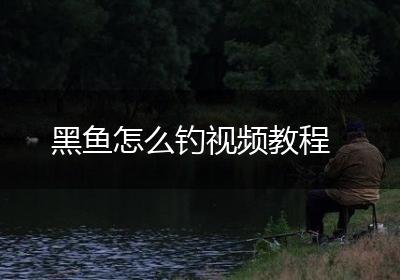 黑鱼怎么钓视频教程