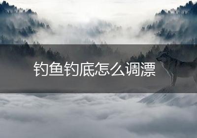 钓鱼钓底怎么调漂