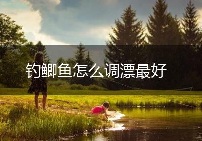 钓鲫鱼怎么调漂最好