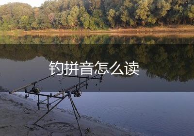 钓拼音怎么读