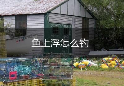 鱼上浮怎么钓
