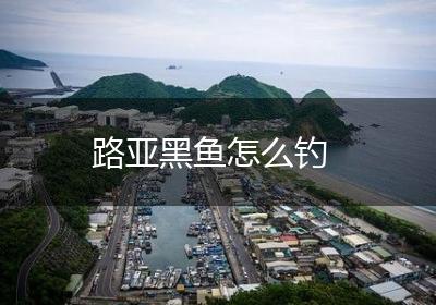 路亚黑鱼怎么钓