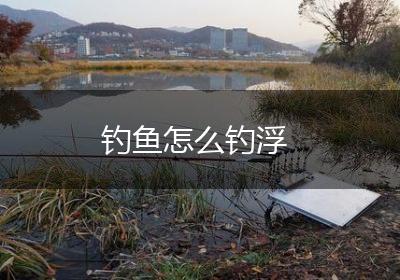 钓鱼怎么钓浮