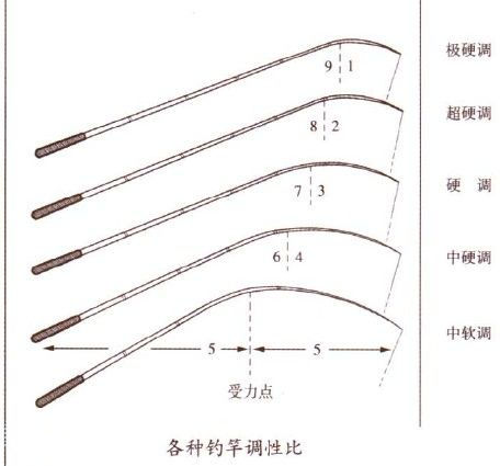 钓鱼新手如何选择一款合适的鱼竿,第3张