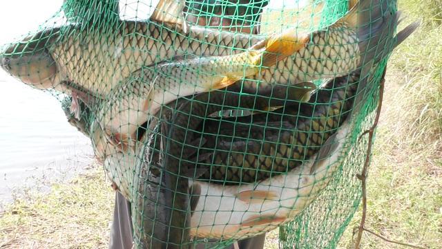 野钓通杀调漂方法分享，适应绝大多数钓况,第5张