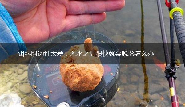 饵料附钩性太差，入水之后很快就会脱落怎么办,第1张