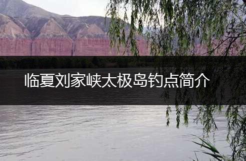 临夏刘家峡太极岛钓点简介,第1张 临夏刘家峡太极岛钓点简介,第1张