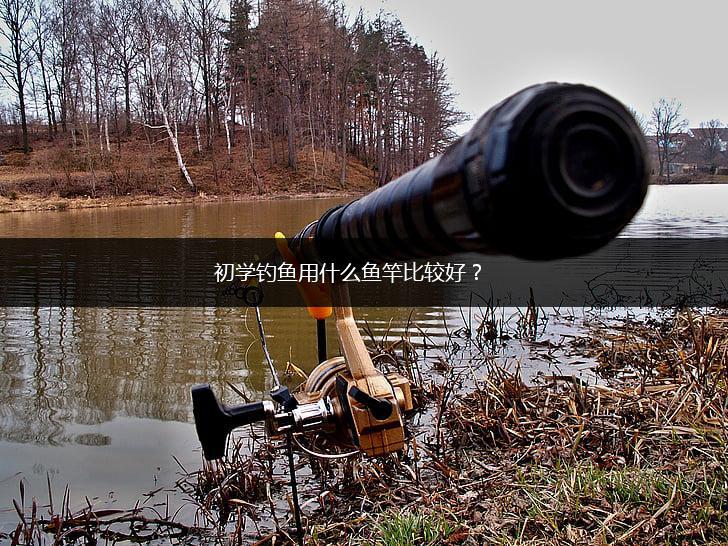 初学钓鱼用什么鱼竿比较好？,第1张