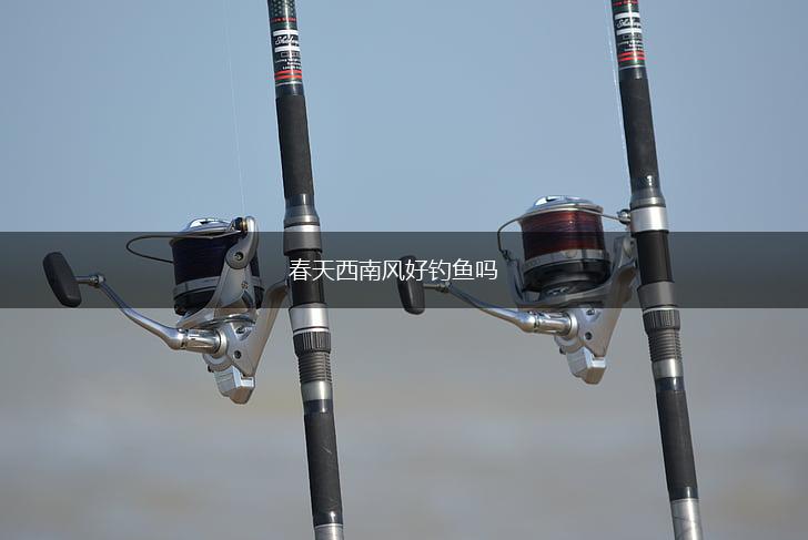 春天西南风好钓鱼吗,第1张