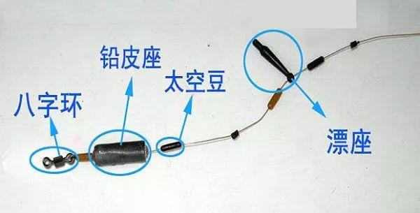 钓鱼中我们经常遇到的常见问题有哪些,第12张