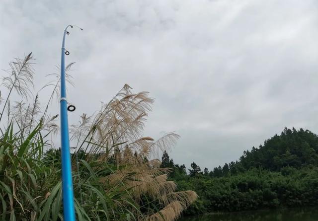 路亚竿还能钓鲫鱼？方法简单一学就会,第5张