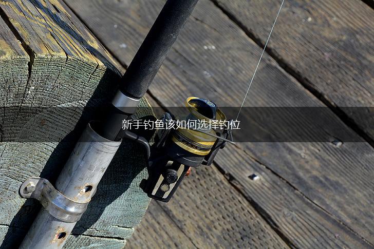 新手钓鱼该如何选择钓位,第1张