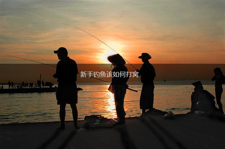 新手钓鱼该如何打窝,第1张