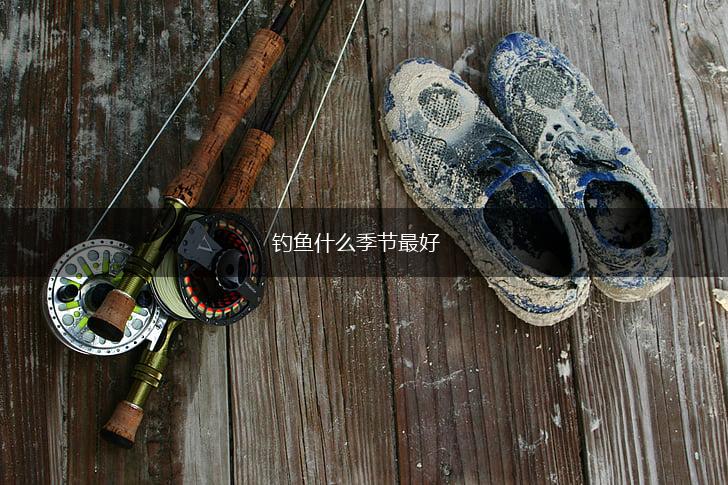 钓鱼什么季节最好,第1张