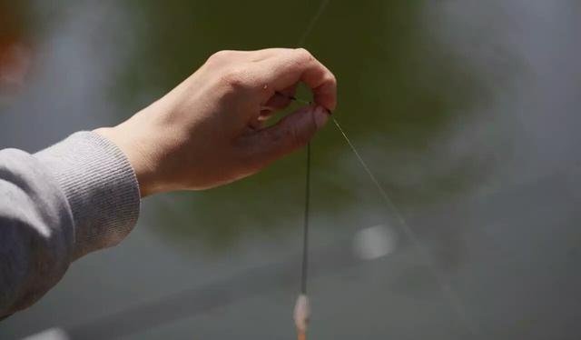野钓调漂真的没有那么复杂,第6张