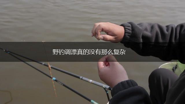 野钓调漂真的没有那么复杂,第1张