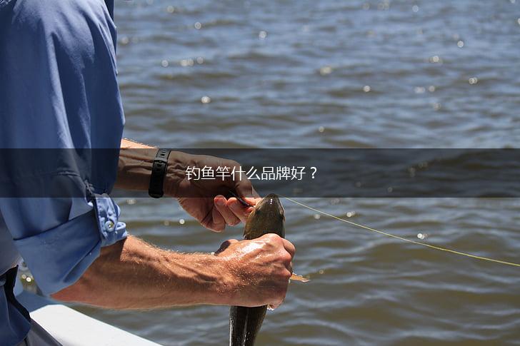 钓鱼竿什么品牌好？,第1张