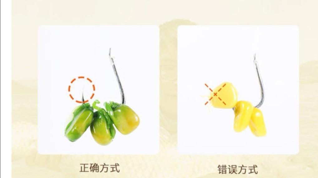 钓鱼配饵的方法有哪一些,第21张