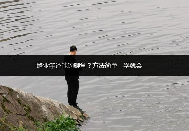路亚竿还能钓鲫鱼？方法简单一学就会,第1张