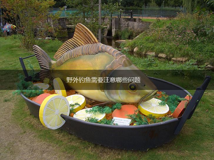 野外钓鱼需要注意哪些问题,第1张