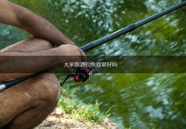 大米泡酒钓鱼效果好吗,第1张