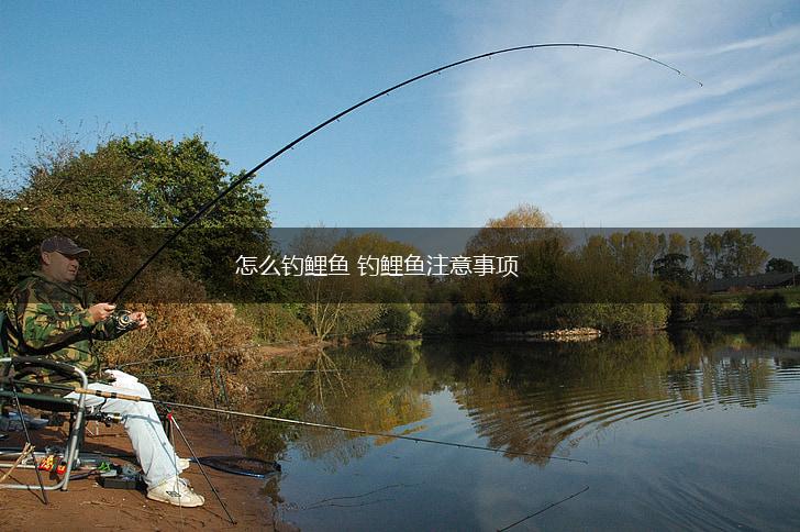 怎么钓鲤鱼 钓鲤鱼注意事项,第1张