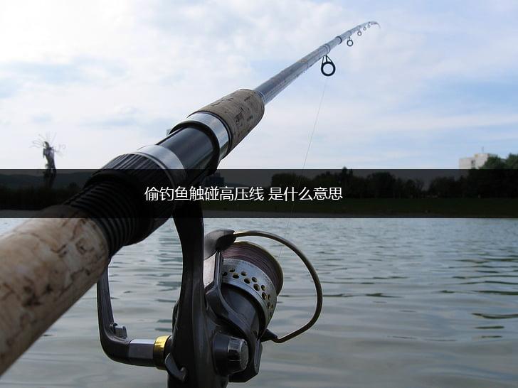 偷钓鱼触碰高压线 是什么意思,第1张