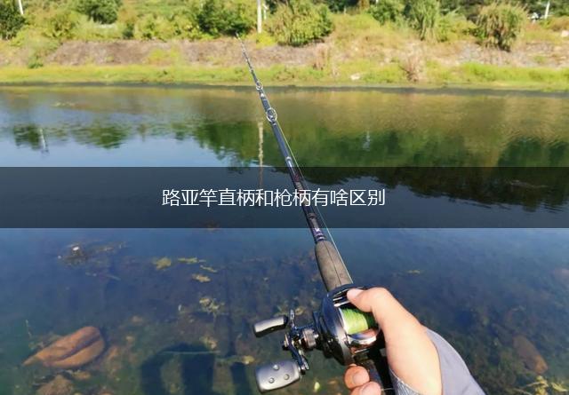 路亚竿直柄和枪柄有啥区别,第1张