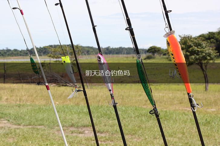 阴天适合钓鱼吗,第1张