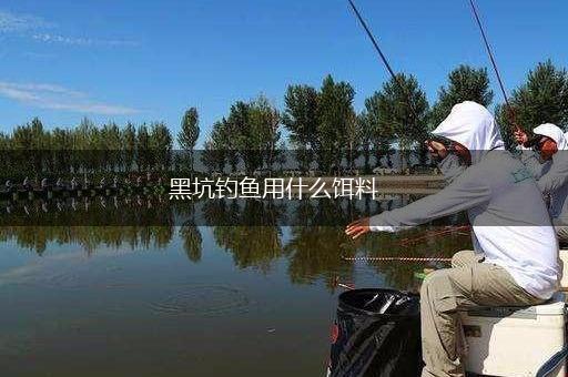 黑坑钓鱼用什么饵料,第1张 黑坑钓鱼用什么饵料,第1张