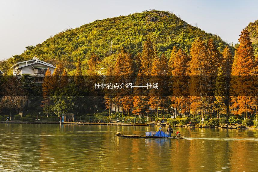 桂林钓点介绍——桂湖,第1张