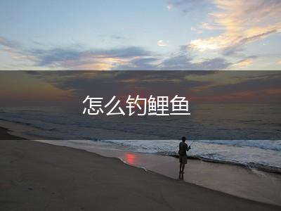 怎么钓鲤鱼,第1张