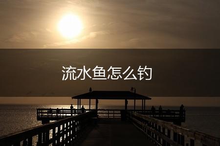 流水鱼怎么钓,第1张